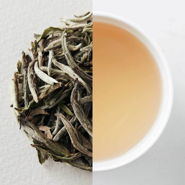 Emperor's Peak -  Loose Leaf White Tea