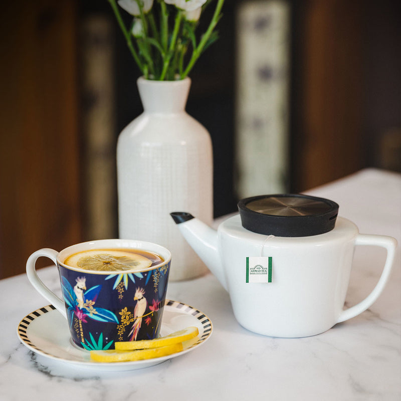 Viva Scandinavia Porcelain Infusion Teapot