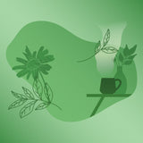 Sweet Mint & Fennel "Digest" Infusion 20 Teabags - Video clip